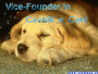 v founder c.