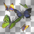 Animated Butterflys ♥ by XManga-AngelX ♥