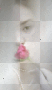 lady