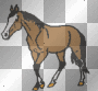 pferd