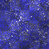 fond scintillant bleu