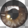 bellas eye-twilight