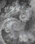 gray matter