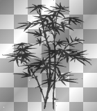 KLAR     TRANSPARENT Background