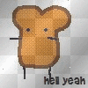 toast toast