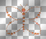 Deco Butterfly shimmer~Orange