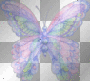 mariposa