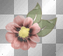 flowers  b75