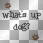 Whats up dog