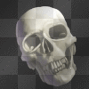 skull