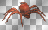 spider