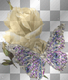 Rosa bianca con farfalla diamantata! --> By Glitter88