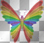 butterbly rainbow butterbly rainbow