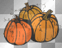 pumpkins