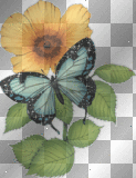 Ein Schmetterling und eine Blume