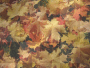 Autumn Leaves Autumn Leaves