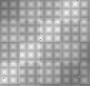 silver blackground ©JW silver blackground ©JW