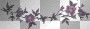 fleurs
