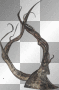 ☺©Gothic Tree Harp®☺ ☺©Gothic Tree Harp®☺