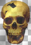 SKULL