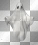 ☺©Animated Ghost®☺ ☺©Animated Ghost®☺