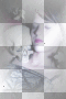 Woman Woman