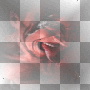 Evil Evil