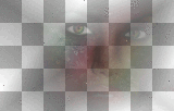 Woman Face