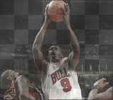 chicago bulls chicago bulls