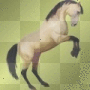 steigendes Pferd