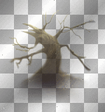 mejserr creepy tree
