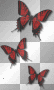 Gothic Red Butterflies Gothic Red Butterflies