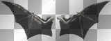 Bat Wings Black