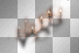 Light