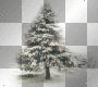 winter tree - Christmas