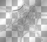 silver spider web