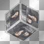 bella swan cube