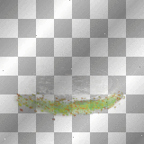 Water/Grass