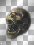 Skull-BT