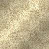 bg gold