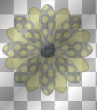 flower flower