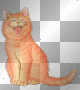 lachende kat 2