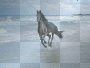 Horse on the beach