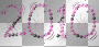 2010-IN-JEWELS~PINK