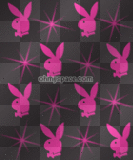 sexy playboy