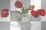 Red Roses