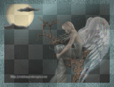 Angel,Night