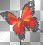 Glitter Butterfly Glitter Butterfly