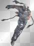 Raven