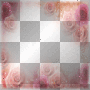 pink roses ' transparent border frame
